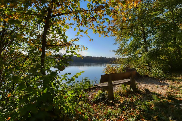 打無球意味 打無球意味